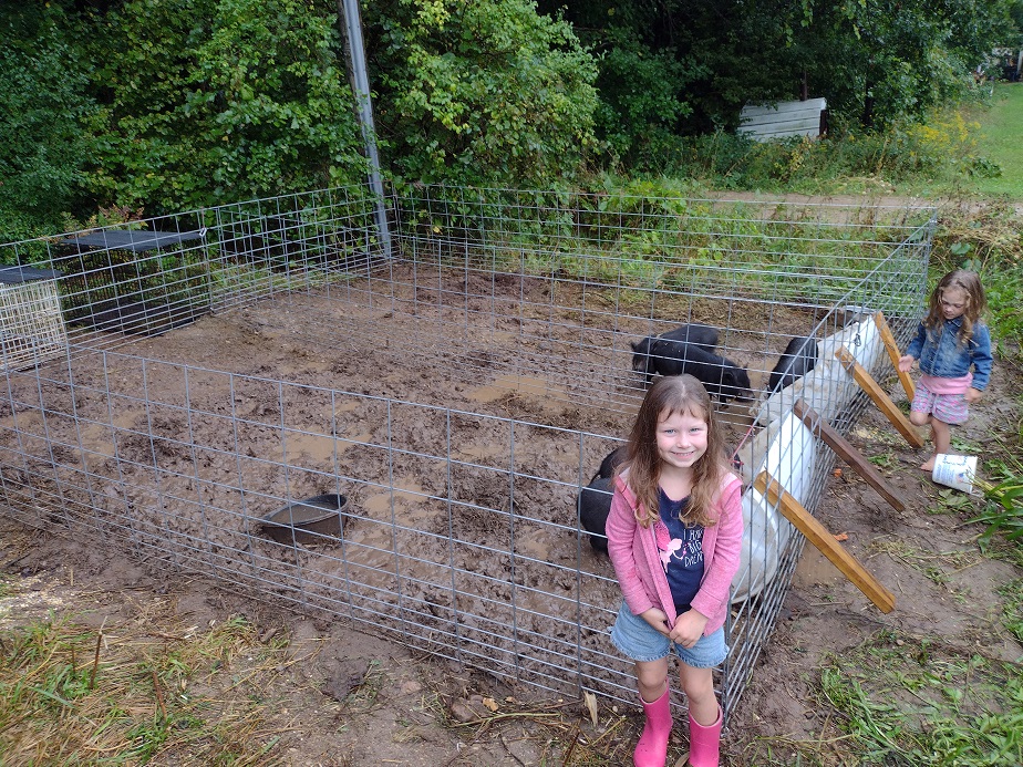 How to  Build a Pig Pen (simple and cheap)