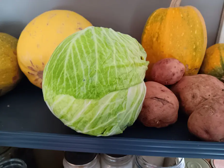 5 Ways to Store Fresh Cabbage for 6 Months